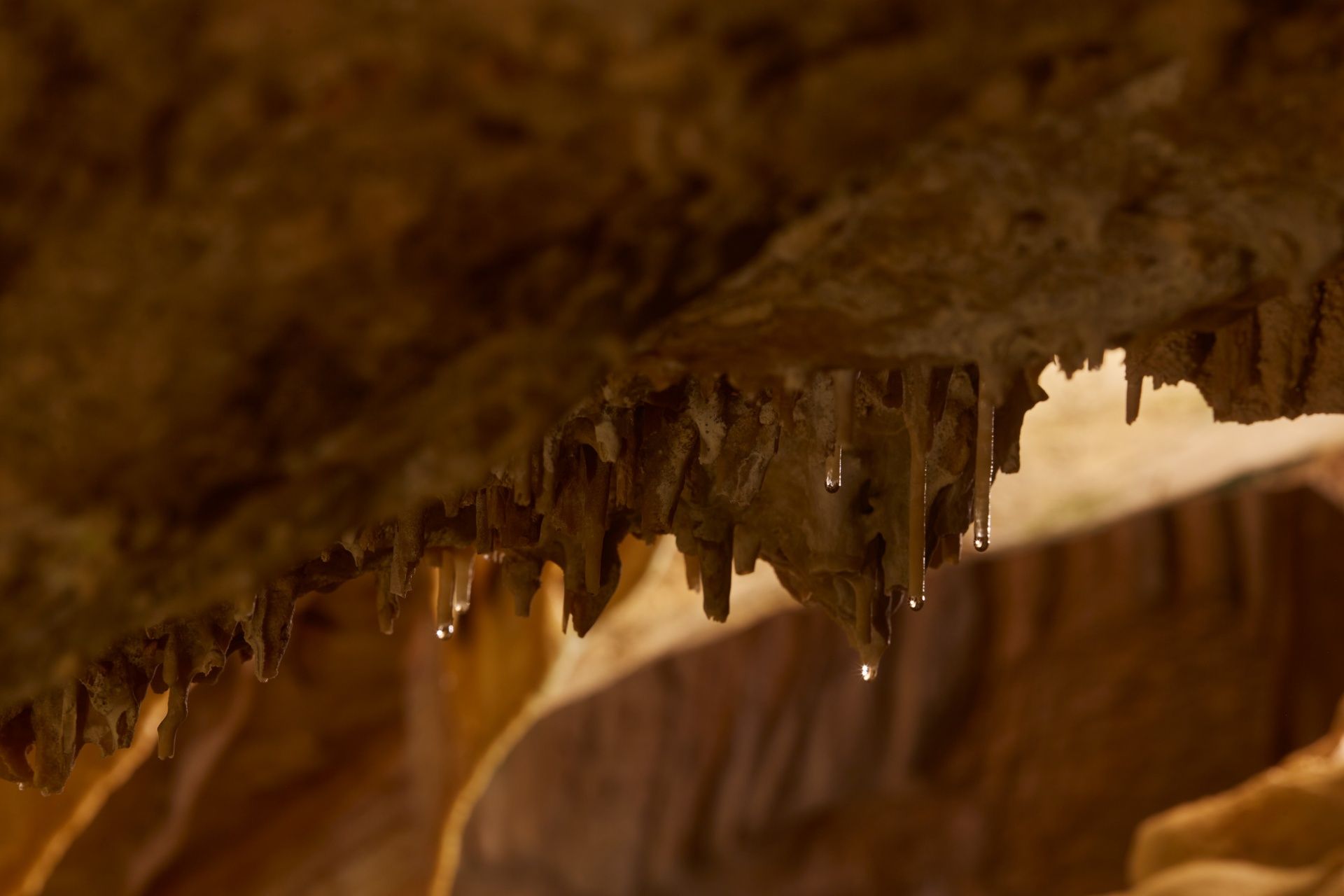 Inside the Cave – Cova de Can Marçà